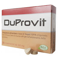 Produktbild von Wellvit Kräuter-Komplex Tabletten mit pflanzlichem Ursprung 30 Stück