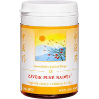 Produktbild von Wen Jing Wan TCM Herbs Kräuter-Komplex Tabletten 100 Stück