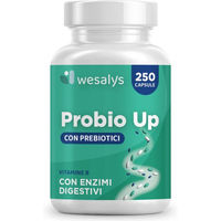 Produktbild von WESALYS Probio Up Probiotika und Präbiotika Kapseln vegan glutenfrei laktosefrei 250 Stück