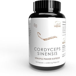 Wohlrab BIO Cordyceps sinensis Kapseln vegan ohne Zusatzstoffe – Bild 1 von 1