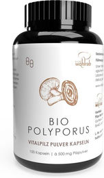 Wohlrab Polyporus BIO Pulverkapseln – Bild 1 von 2