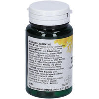 Produktbild von XEOLINT Phyto Kapseln 30 Stück