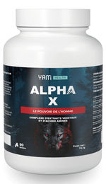 Yam Nutrition Alpha X mit Astragalus Kapseln 90 Stück – Bild 1 von 2