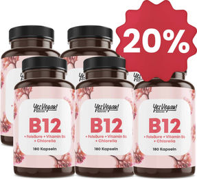 Yes Vegan Naturals B-Komplex Vitamin B12 Folsäure Vegan 180 Kapseln 6er Set – Bild 1 von 1