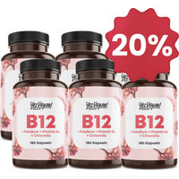 Produktbild von Yes Vegan Naturals B-Komplex Vitamin B12 Folsäure Vegan 180 Kapseln 6er Set