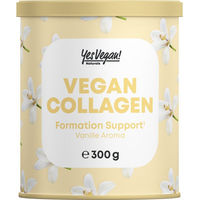 Produktbild von Yes Vegan Naturals Vegan Collagen Pulver mit Vitamin A C E, Biotin, Silicium und Zink, zuckerfrei, 300 g